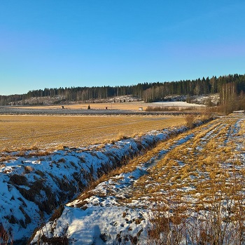 Vård av jordmånen är en viktig del av vattenvård.