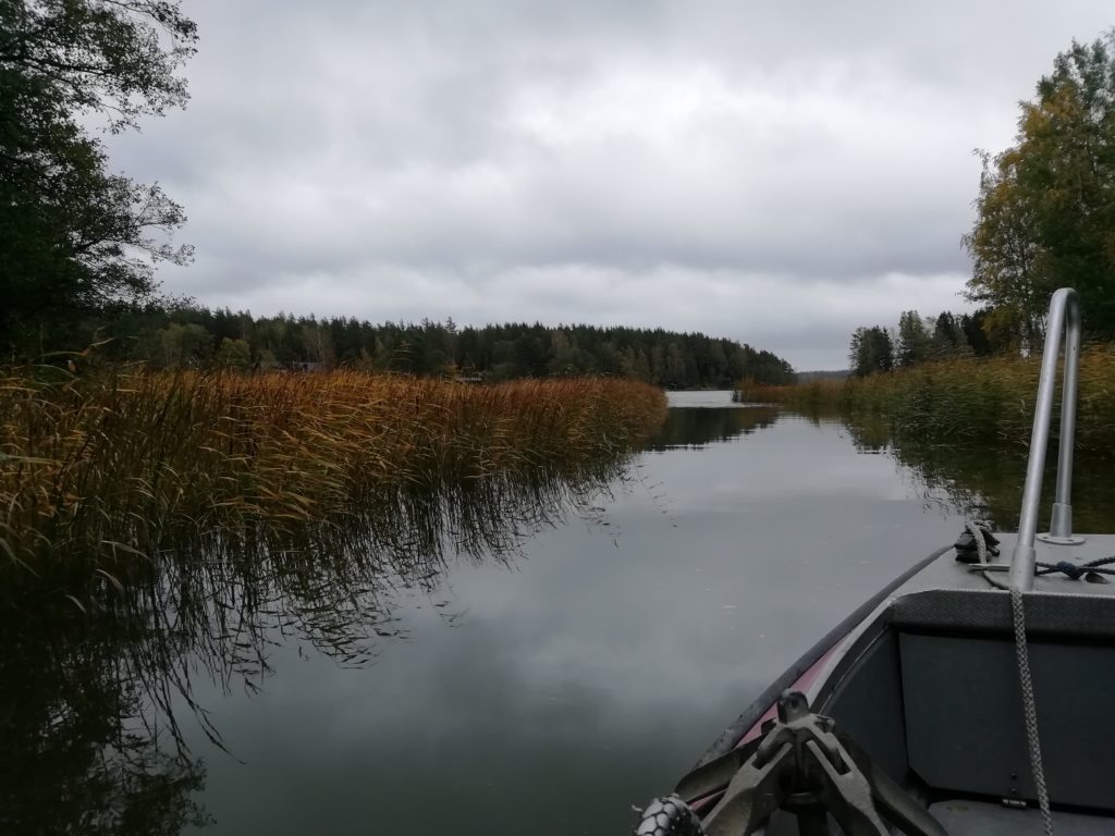 Raaseporinjoki laskee Landbofjärdeniin. Raseborgsån mynnar ut till Landbofjärden.